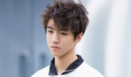 娱乐大爆料王俊凯刘宪华,揭秘明星幕后故事