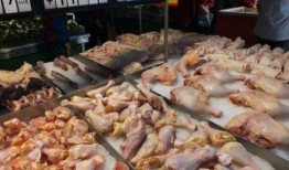 速冻鸡腿爆料视频,揭秘网红美食背后的真相