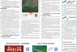 怎么给新华社爆料新闻,如何成为信息传递的桥梁